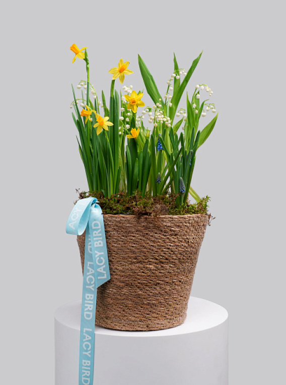 Первоцветы №8