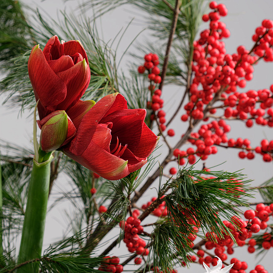 «Запах зимы» зимняя охапка