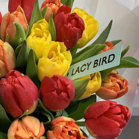 Яркие краски 