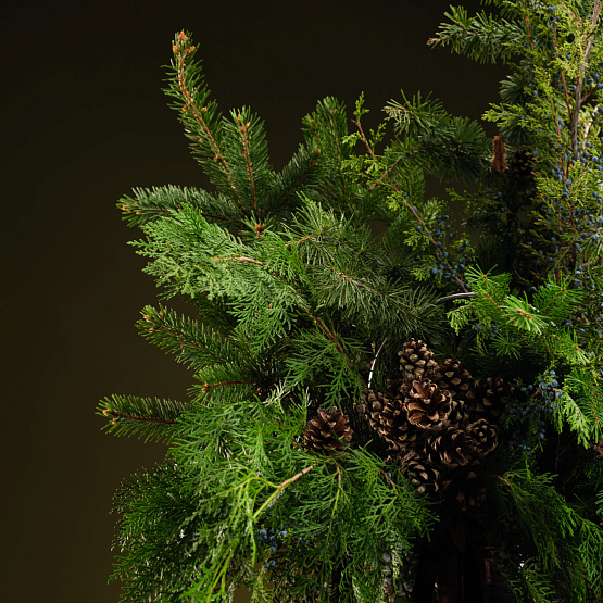 Бидон «Тайны леса» M