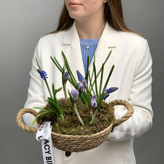 на солнечном склоне