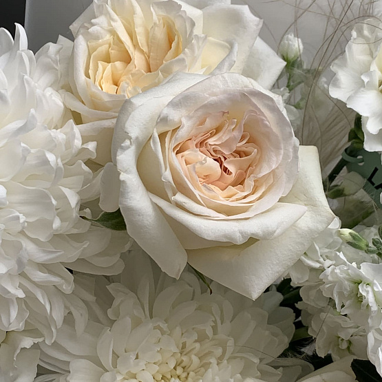 Улыбка утра