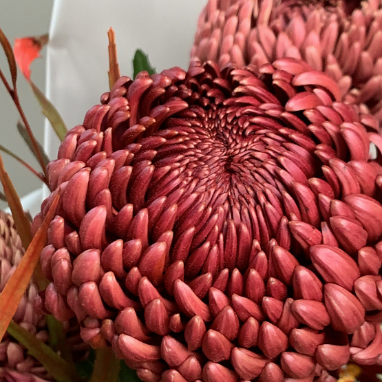 Осеннее буйство