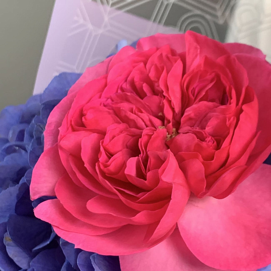 Сливовый зефир 