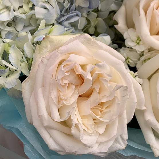 Нежный аромат 