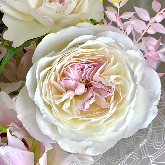 Весеннее цветение