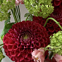 Таинственный сад