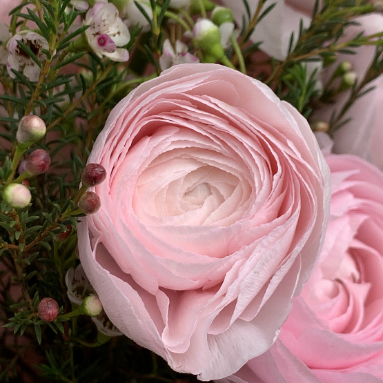 Радостный момент