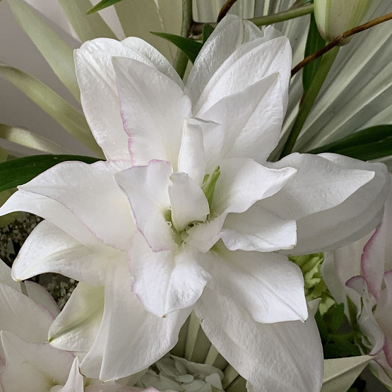 Цветок Мидзуки