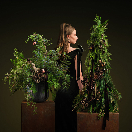 Сет №2 «Тайны леса»