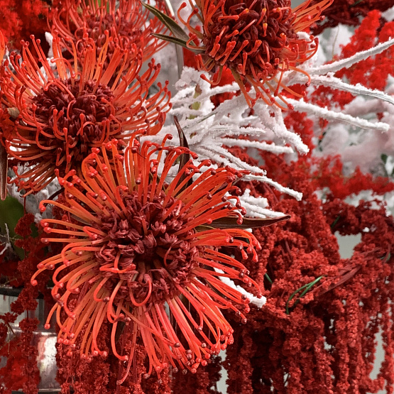 Бордо в снегу 