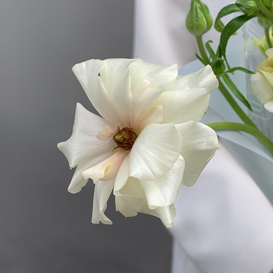 Первый полет 