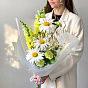 Объятия солнца