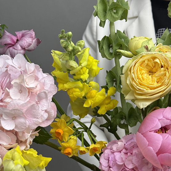 Солнечный сад