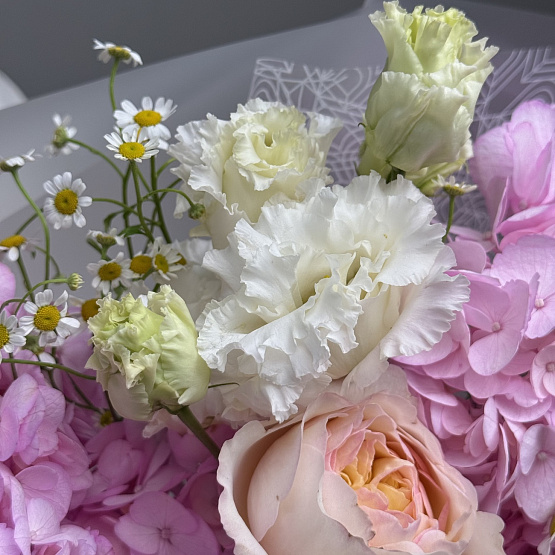 Сияние природы 