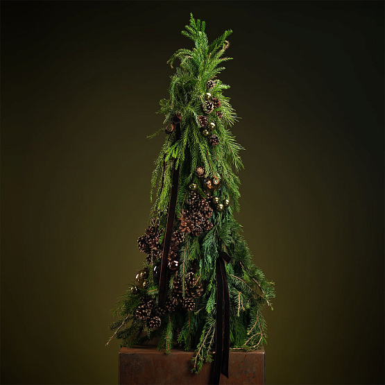 Сет №1 «Тайны леса»