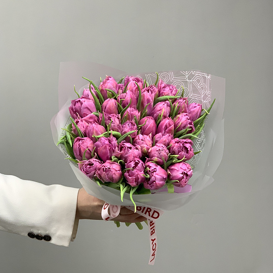 сиреневые тюльпаны