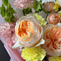 Melody of roses