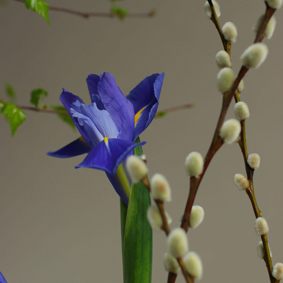 Пасхальная композиция «Небесная песнь»