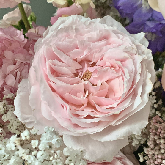 Нежное облако