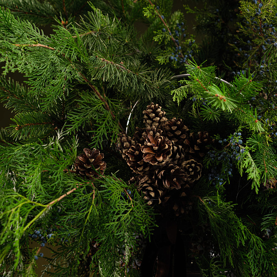 Бидон «Тайны леса» M