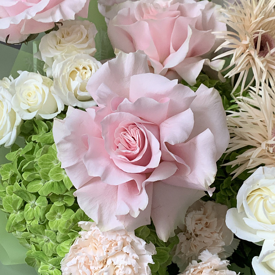 The palette of Spring