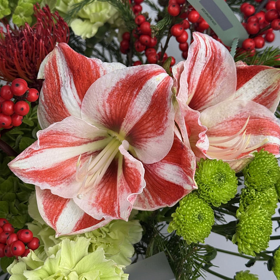 Яркий акцент 