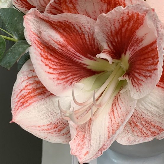 Композиция в вазе Аромат пудры 