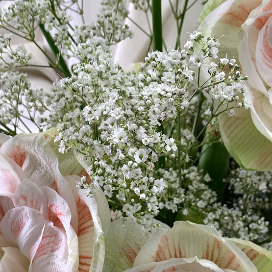 Шёпот сердца