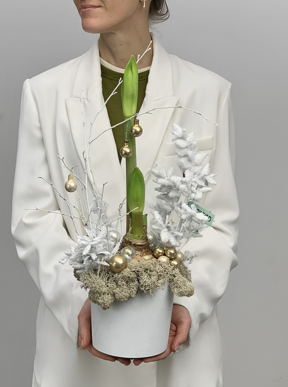 An onion in the snow