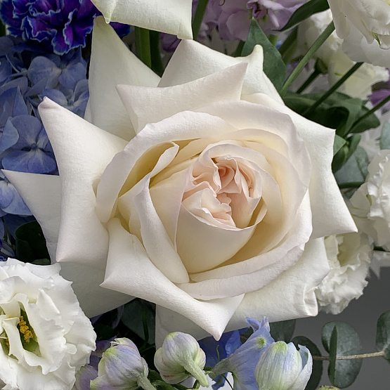 Ледяная сказка