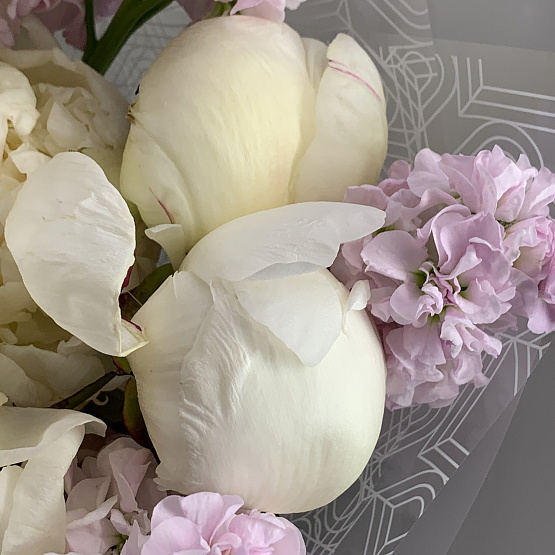 The tenderness of the morning