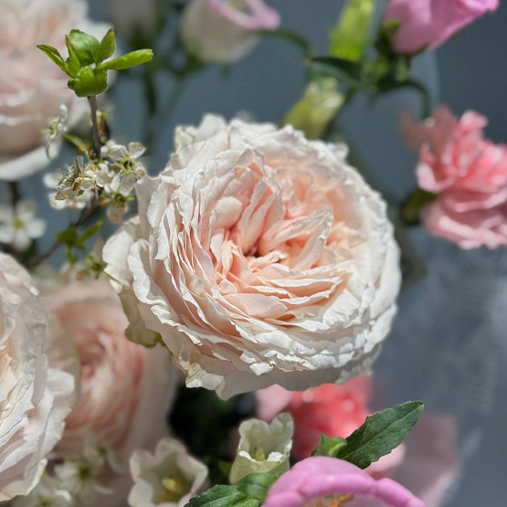 The secret of the Rose Garden