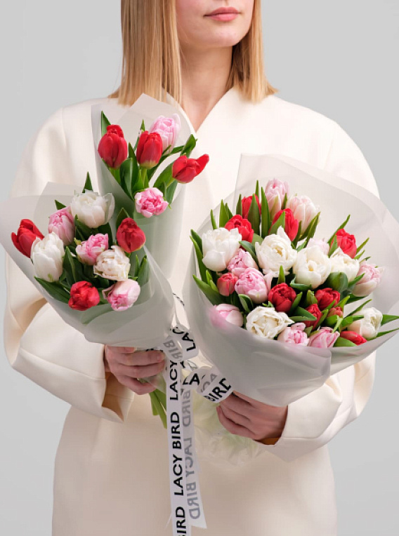 Моно тюльпанов розово-бело-красных