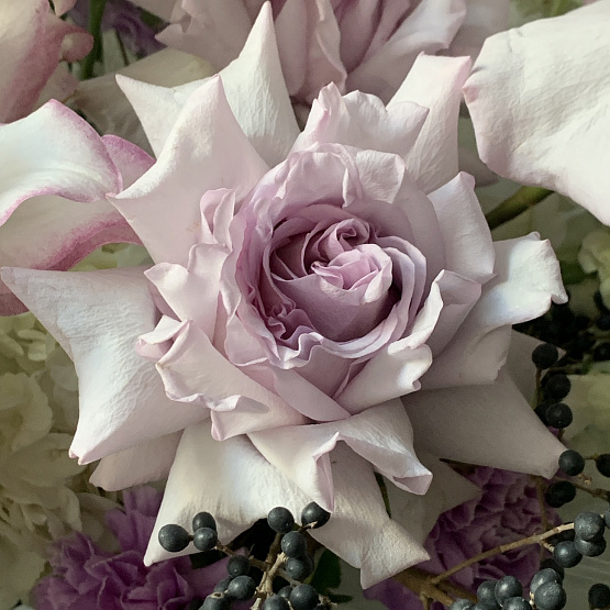 Лунное сияние 