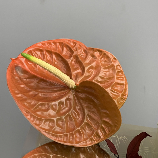 Бронзовый сад