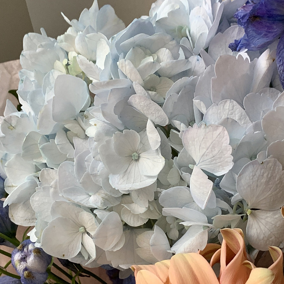 Призрак оперы