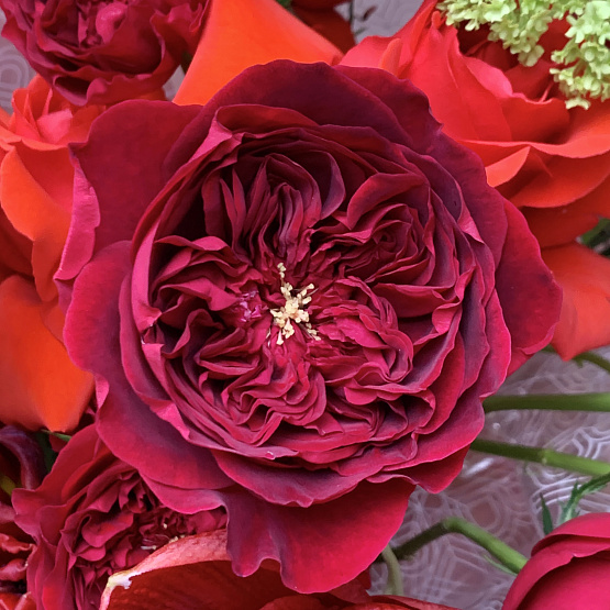 Пламенный свет