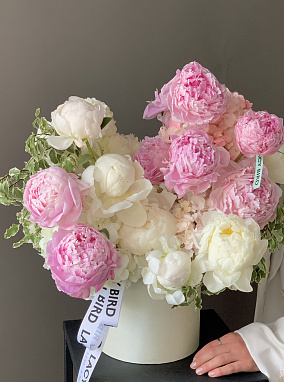 Peony Garden