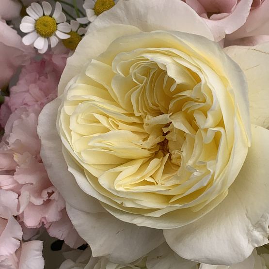 Медовый десерт 