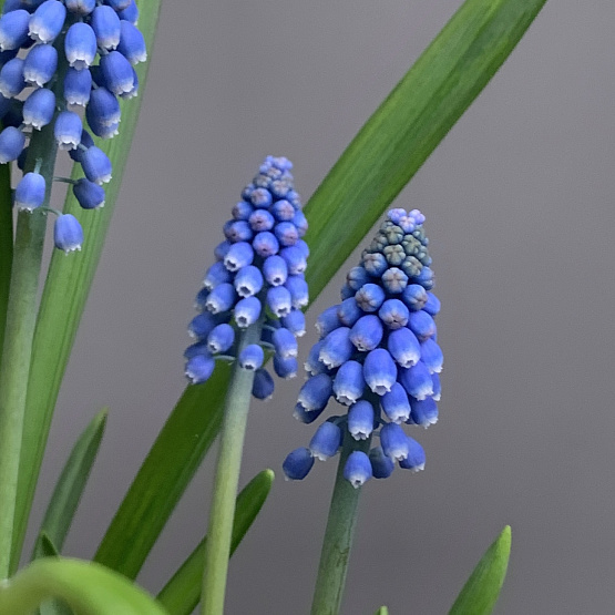 Ласковые слова