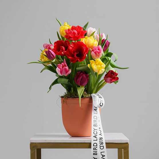 Кашпо с тюльпанами «Весеннее»