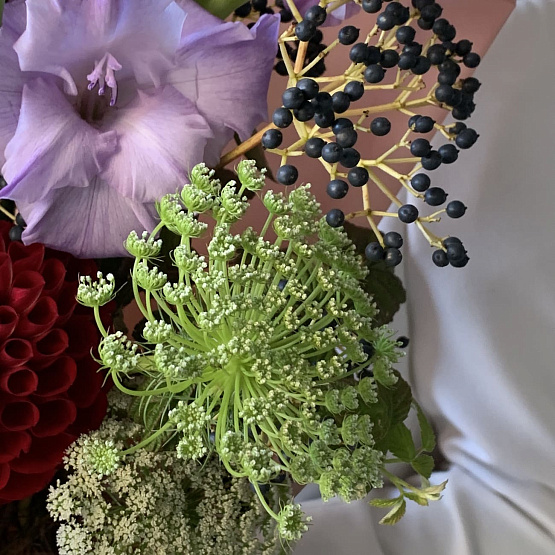 Ripe grapes