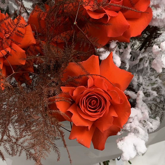 Пламенный румянец