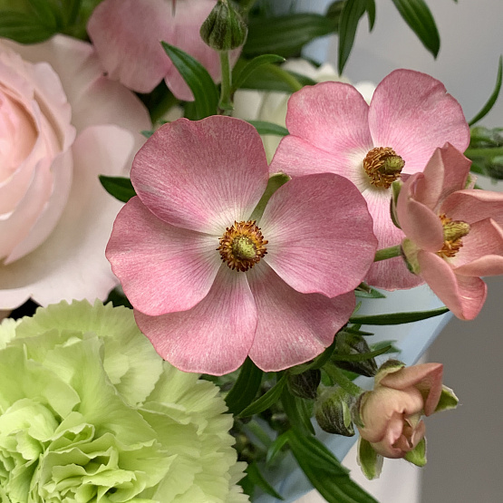 Вестники весны