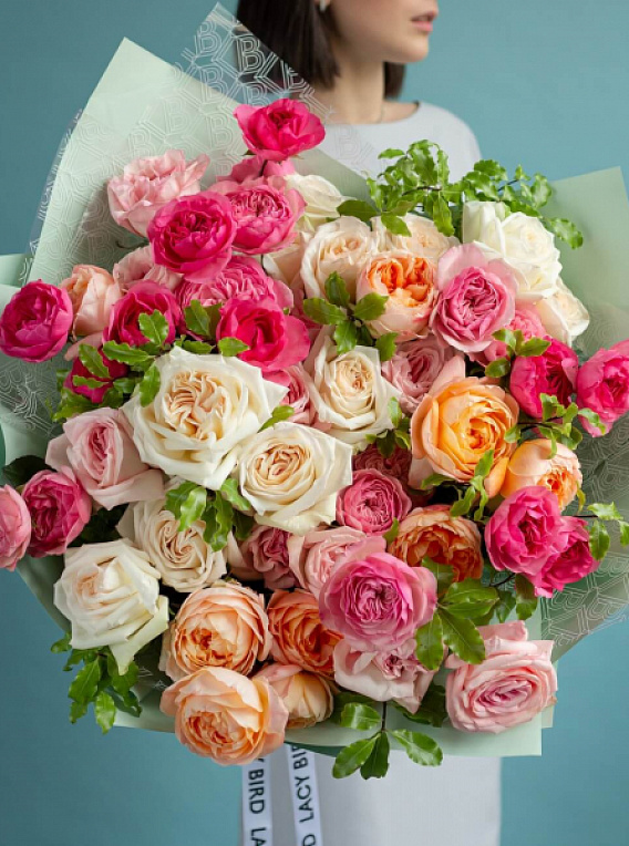 Garden Roses Vivid Mix