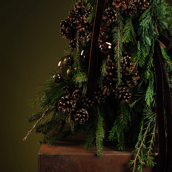 Сет №1 «Тайны леса»