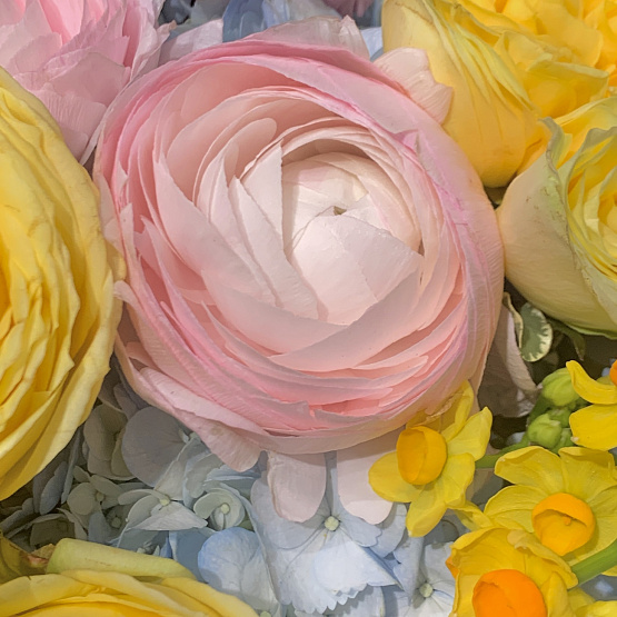 The triumph of color