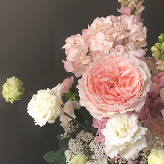 Нежное облако