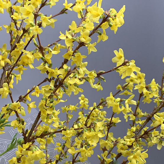 Солнечный перелив